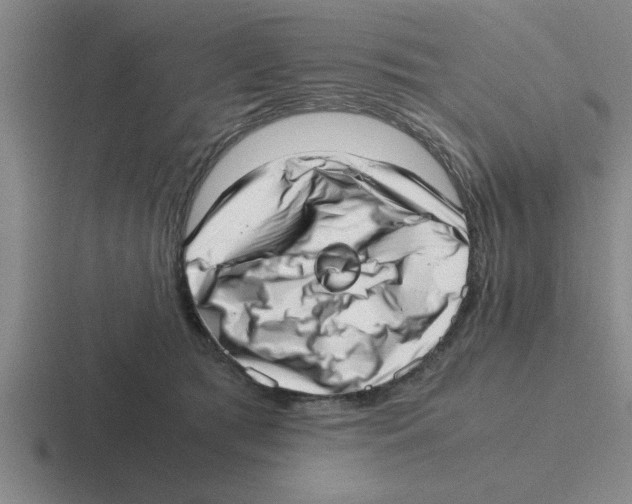 X0000116420417201001051130