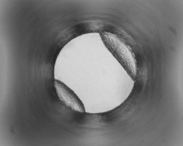 X0000116420421201001051130