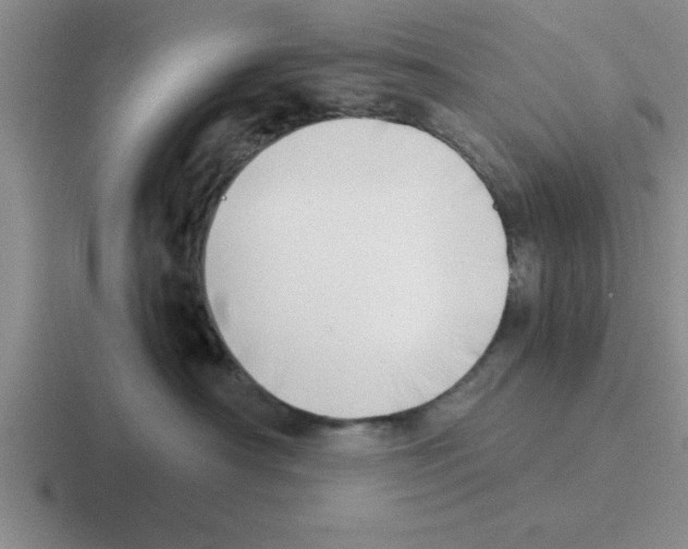 X0000116420430201001051129