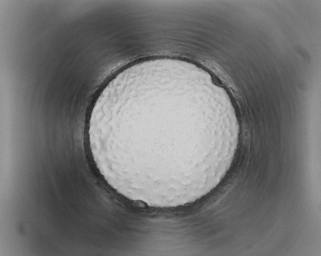 X0000116420434201001051129