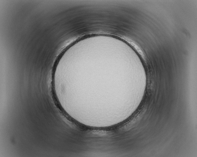 X0000116420437201001051129