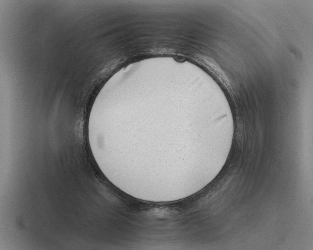 X0000116420441201001051129