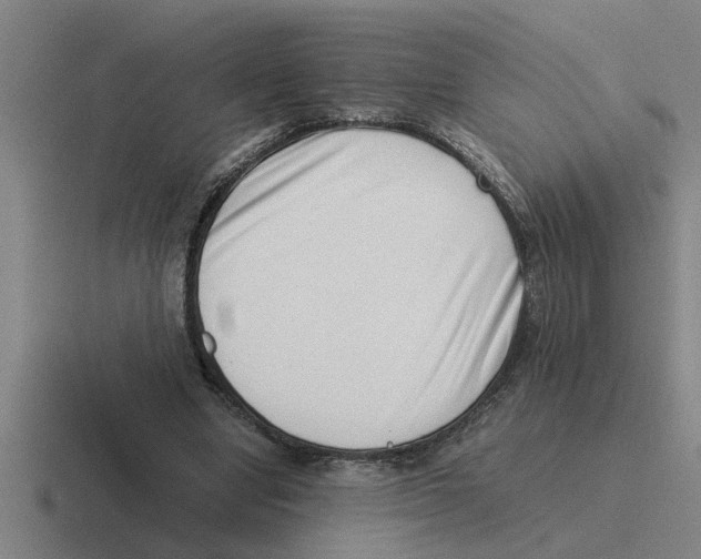 X0000116420442201001051129