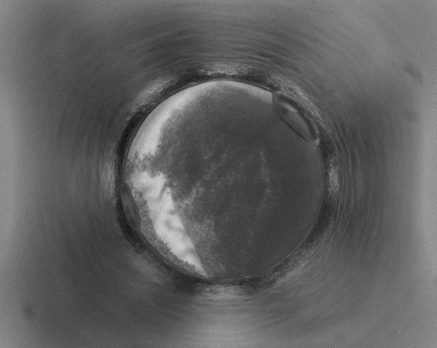 X0000116420444201001051129