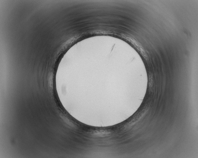 X0000116420445201001051129