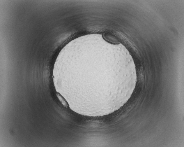 X0000116420448201001051129