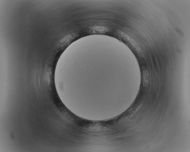 X0000116420451201001051129