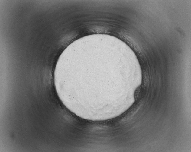 X0000116420453201001051129