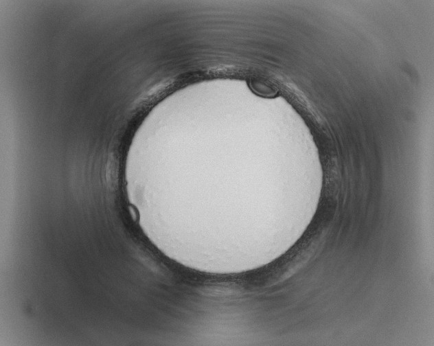 X0000116420454201001051129
