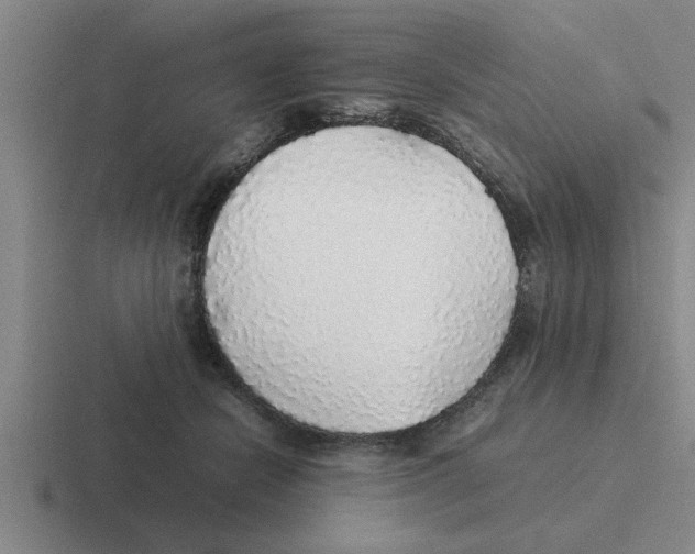 X0000116420462201001051129
