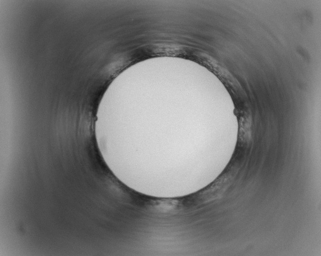 X0000116420474201001051129