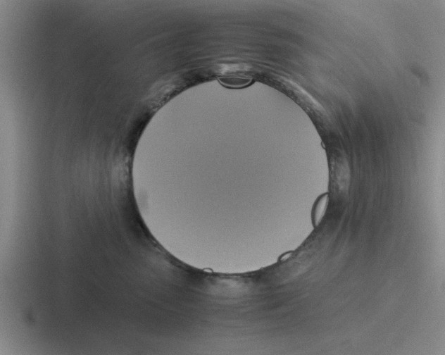 X0000116420475201001051129