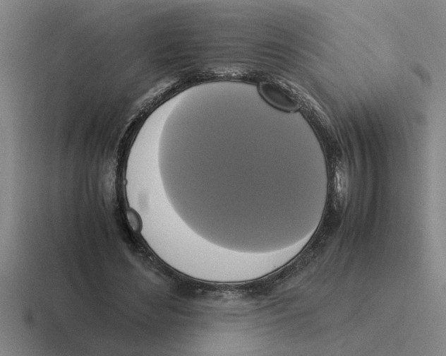 X0000116420492201001051129