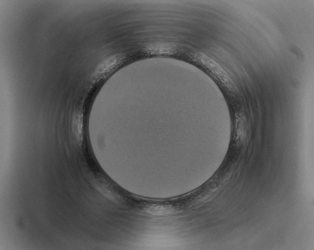 X0000116420494201001051129