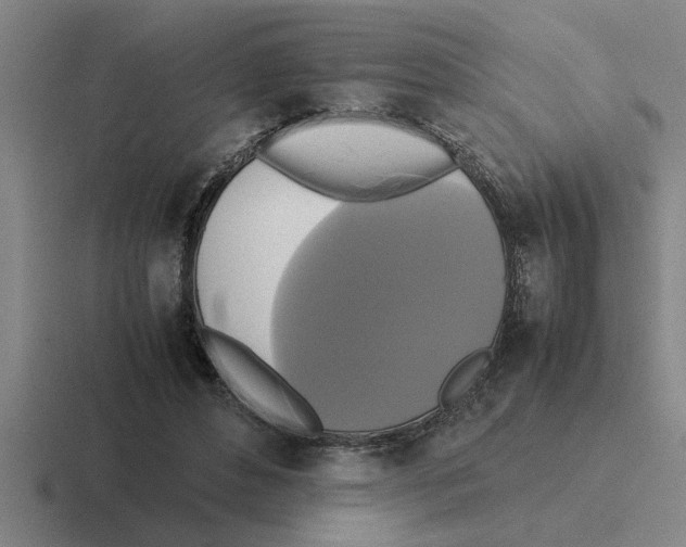 X0000116420496201001051129