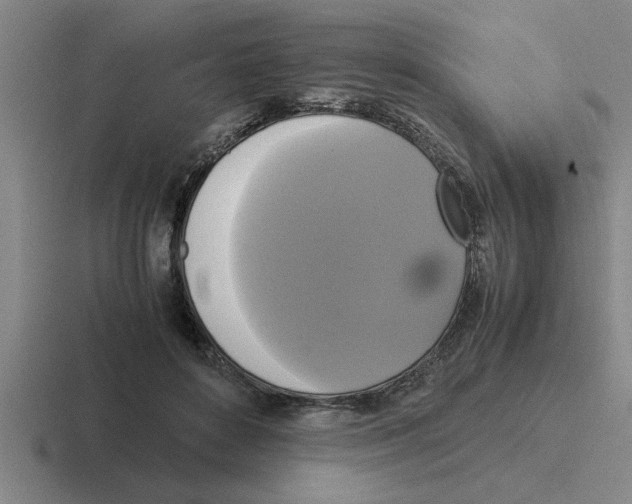 X0000116420504201001051129