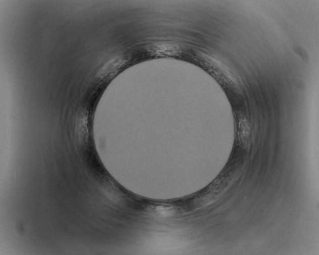 X0000116420506201001051128