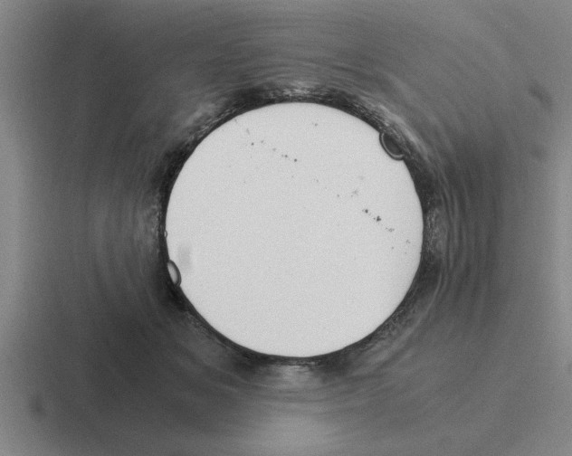 X0000116420509201001051128