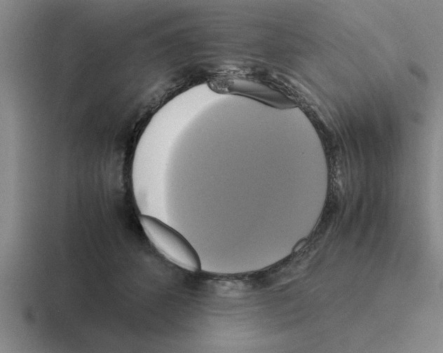 X0000116420512201001051128