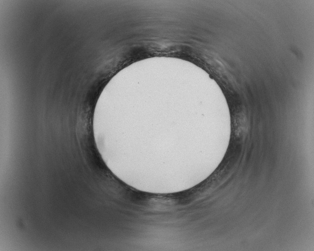 X0000116420515201001051128