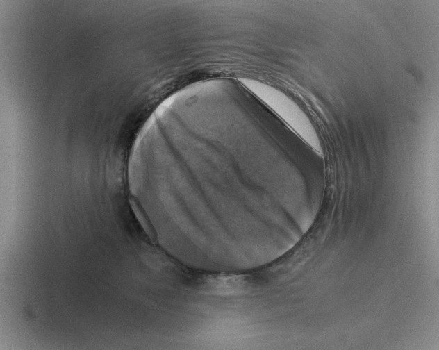 X0000116420517201001051128