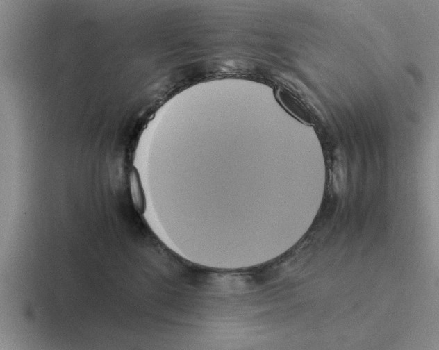 X0000116420520201001051128
