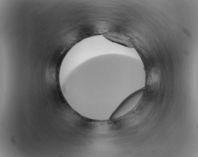 X0000116420524201001051128