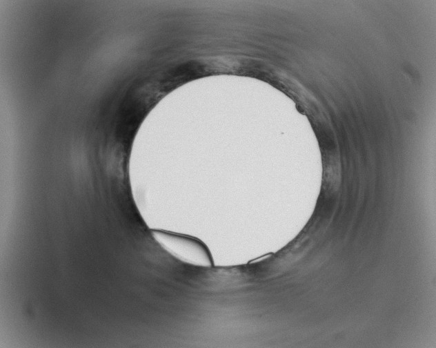 X0000116420525201001051128