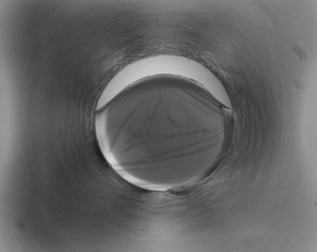 X0000116420528201001051128