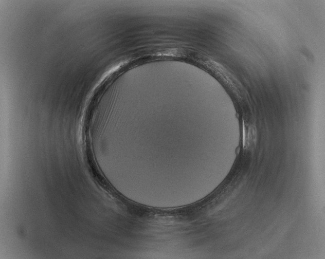 X0000116420531201001051128