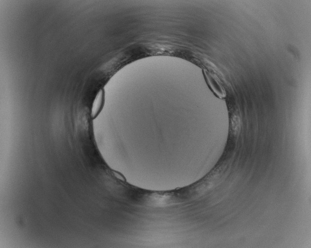 X0000116420570201001051128