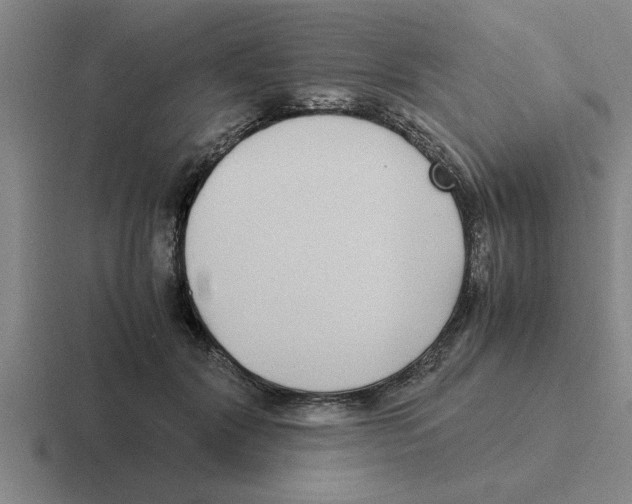X0000116420604201001051127