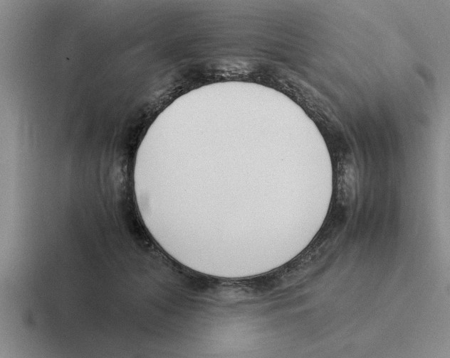 X0000116420608201001051127