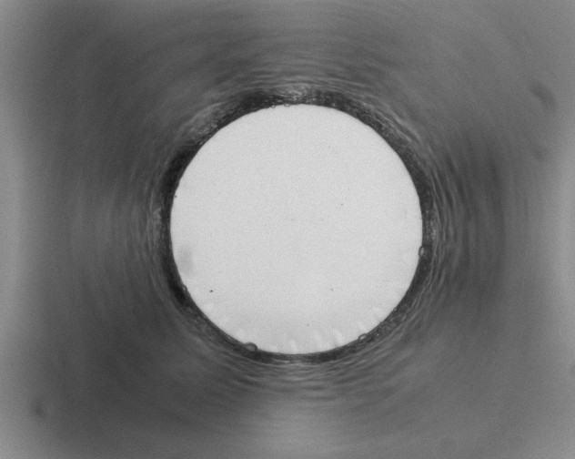 X0000116420611201001051127