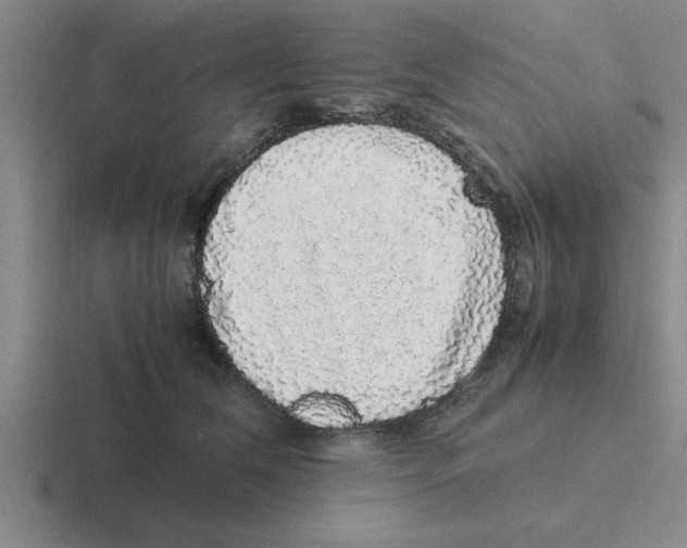 X0000116420612201001051127