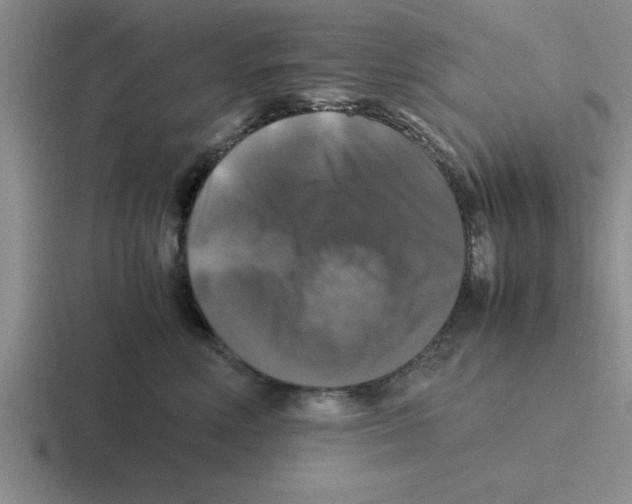 X0000116420618201001051127