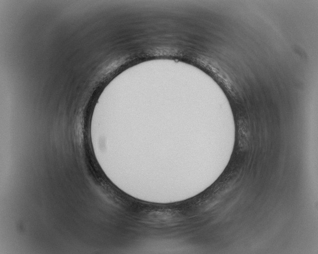 X0000116420631201001051126
