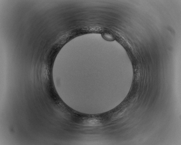 X0000116420643201001051127