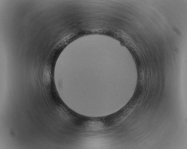 X0000116420644201001051127