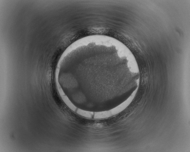 X0000116420647201001051127