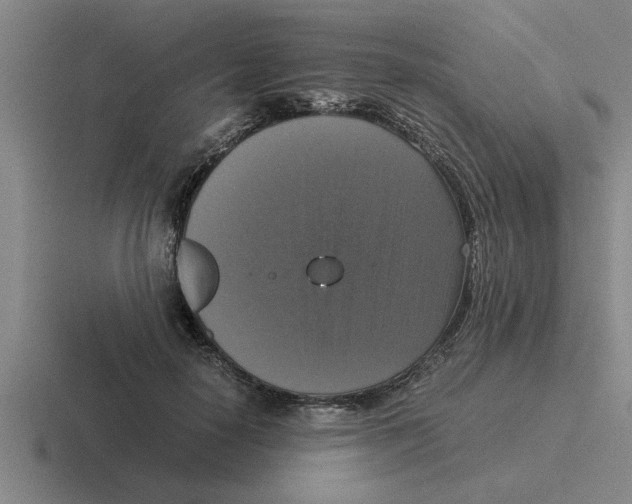 X0000116420650201001051127