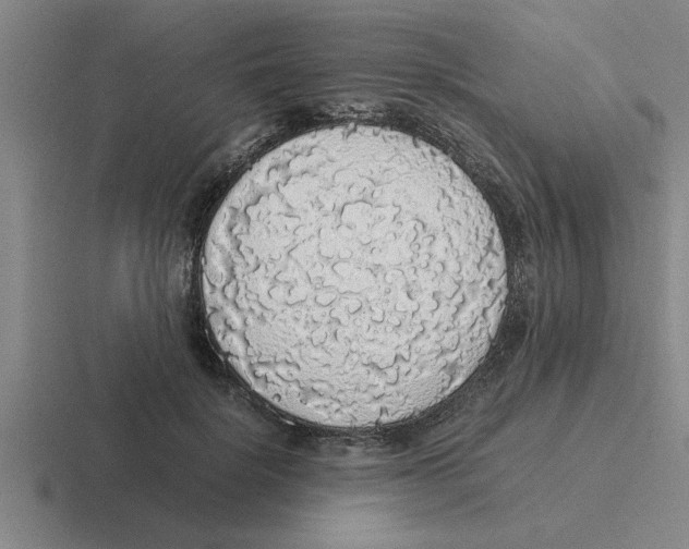 X0000116420652201001051127