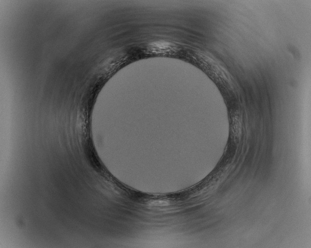X0000116420653201001051127