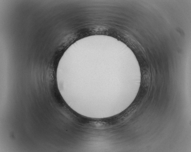 X0000116420654201001051127