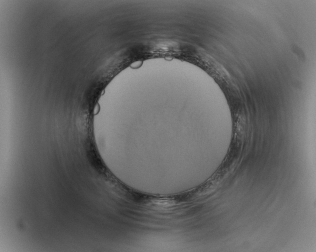 X0000116420659201001051127
