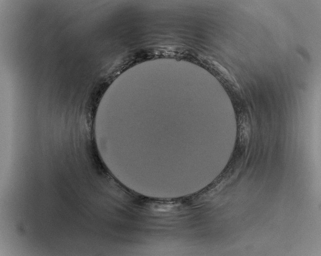 X0000116420661201001051127