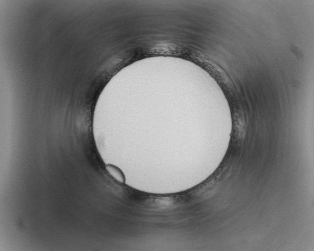 X0000116420665201001051127