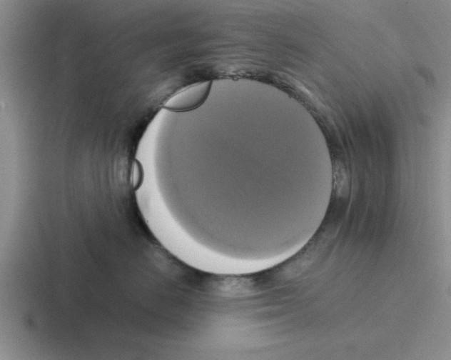 X0000116420670201001051127