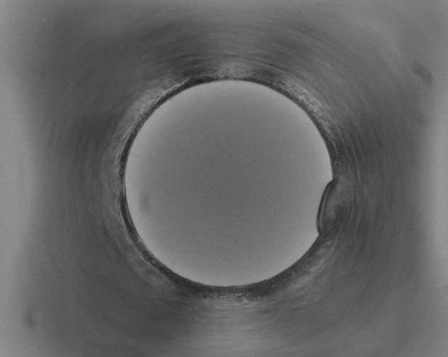 X0000116420673201001051126