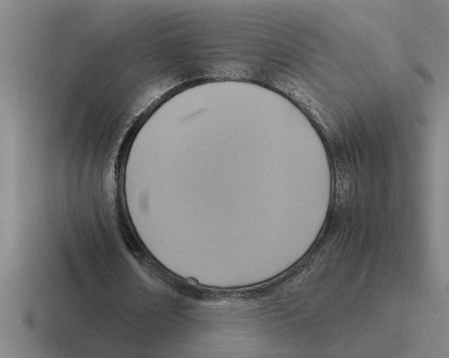 X0000116420674201001051126
